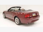 Thumbnail Photo 5 for 2004 Ford Mustang GT Convertible